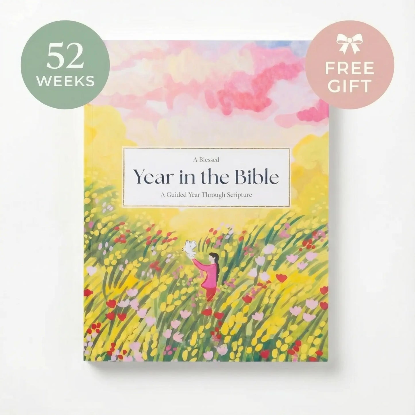 A Blessed Year in the Bible Study Guest
