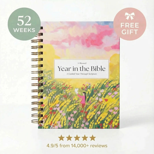 A Blessed Year in the Bible Study VIP