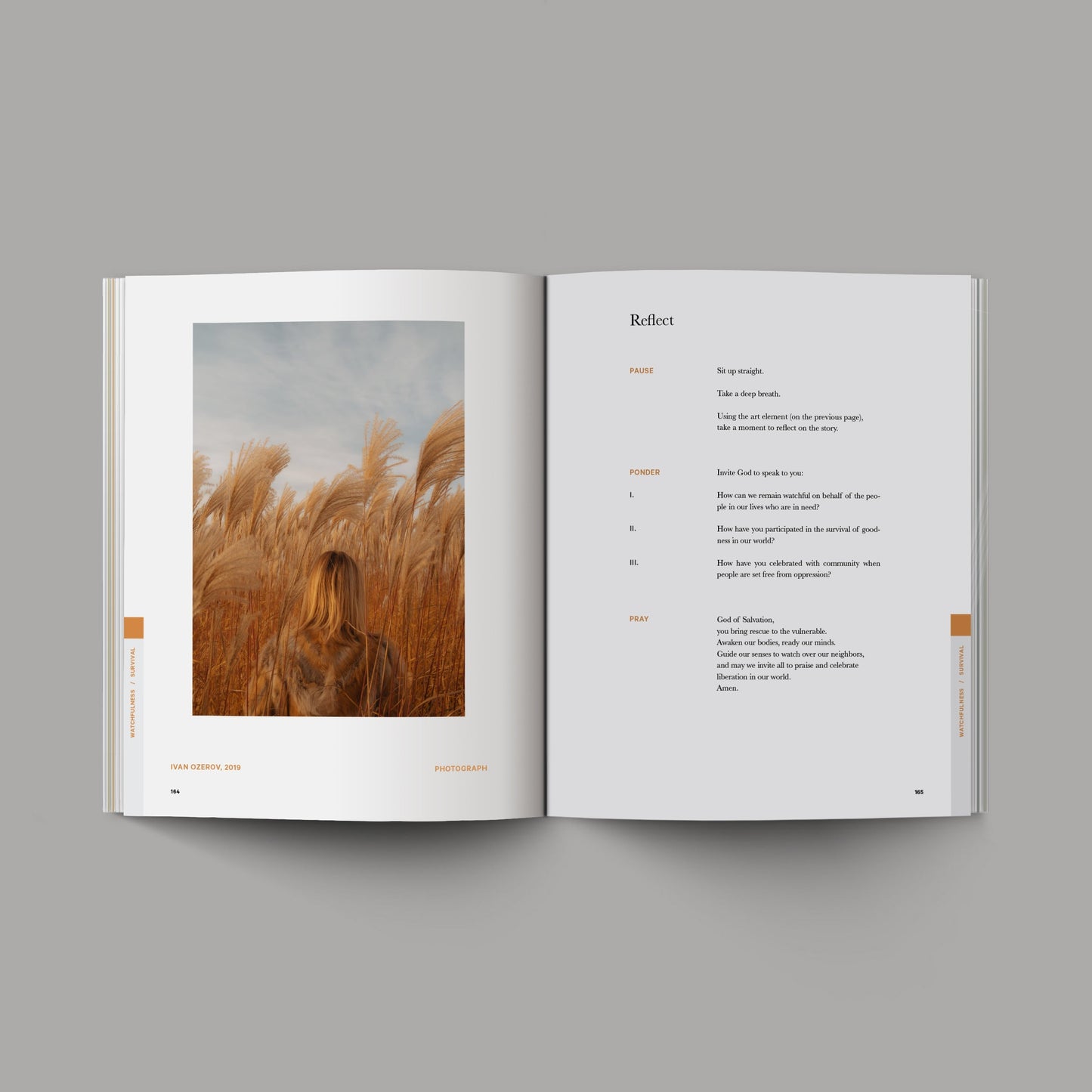 Graceful and Blessed Bible Study - Vol 1 VIP