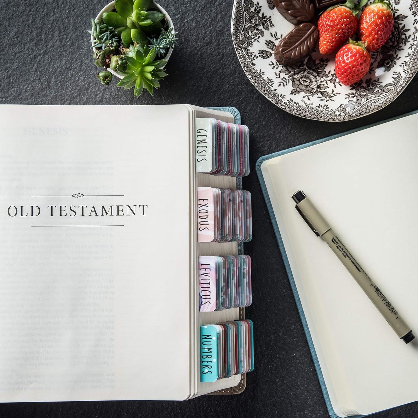 Beautiful Bible Tabs VIP