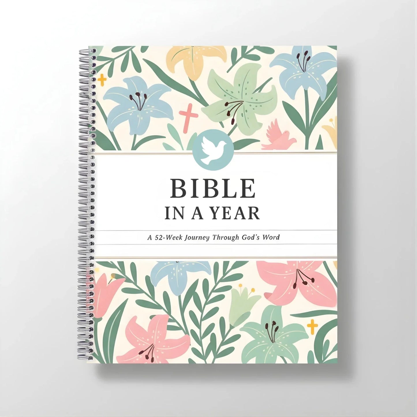 Bible In A Year VIP